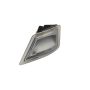 Interior lamp, entry tray LH 2236125 Daf