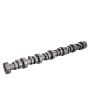Febi Nockenwelle für DAF (MX-13) - 2112481