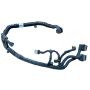 Wiring harness, catalytic converter 2038420 DAF